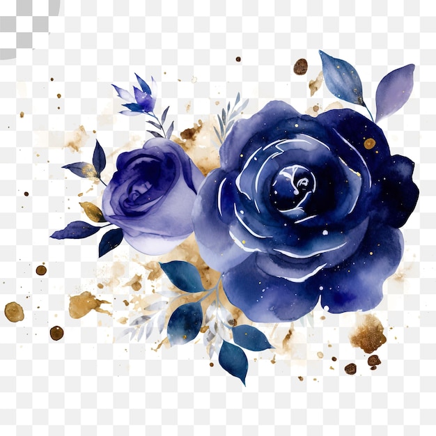 PSD rose bleue fond transparent