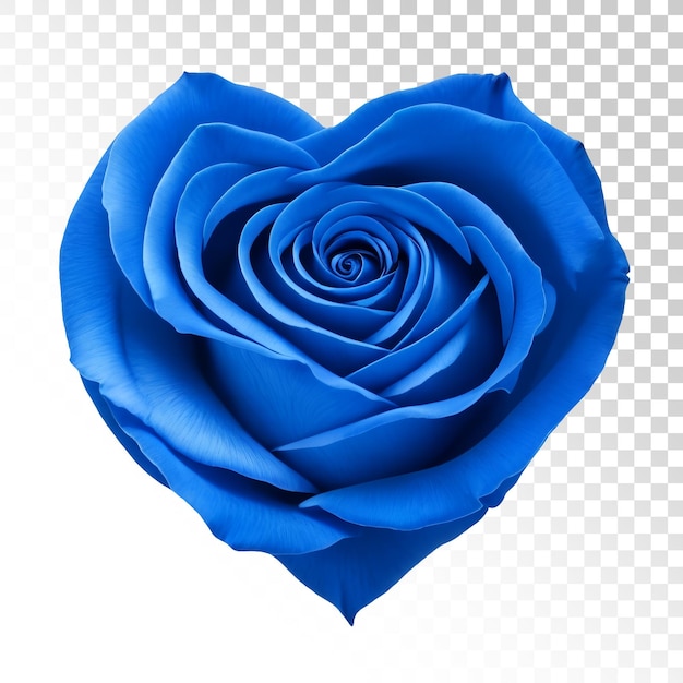 Une rose bleue en forme de coeur
