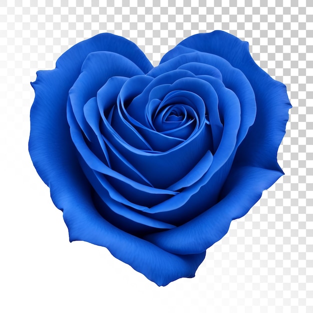 Une rose bleue en forme de coeur