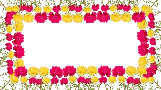 PSD rose de mousse de purslane jaune et rouge rose de soleil de tenlock ou portulaca grandiflora arrière-plan de fleur