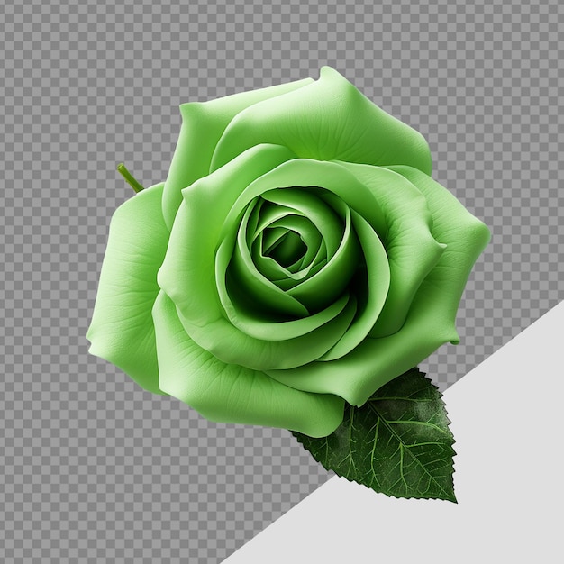 PSD rose png isolé sur un fond transparent