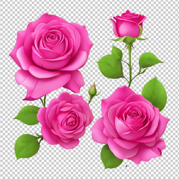 PSD rose set flores artesanato isolado em fundo transparente