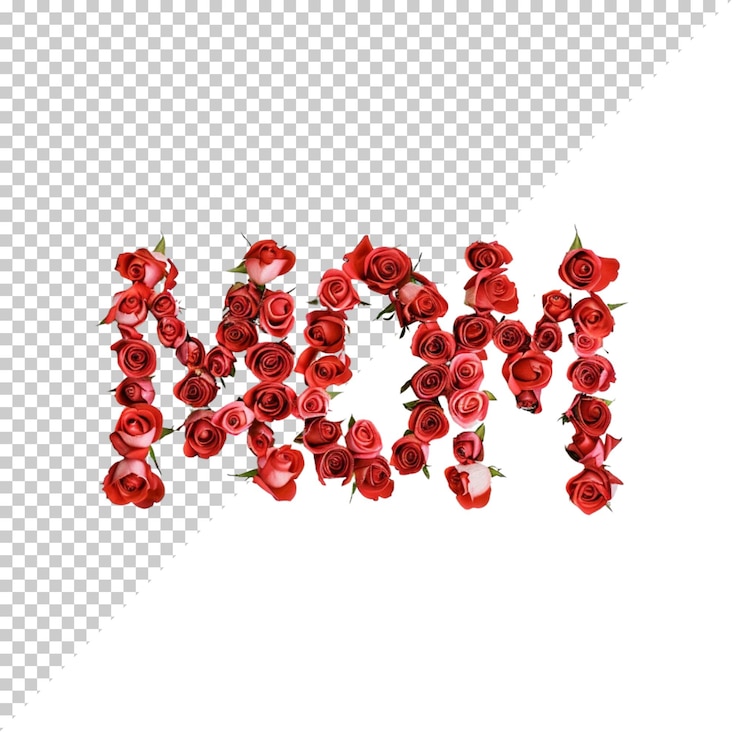 PSD rosenblume png isoliert auf durchsichtigem hintergrund