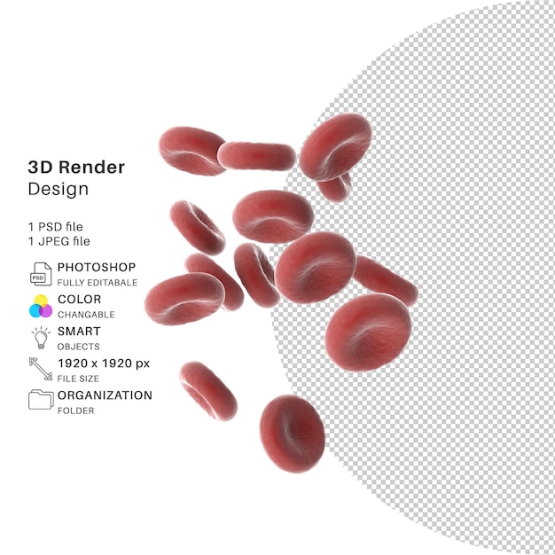 Rote blutkörperchen 3d-modellierung psd-datei realistisch