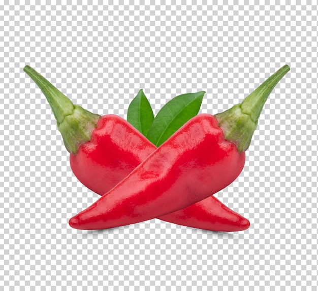 Rote Chilischote mit Blättern isoliert