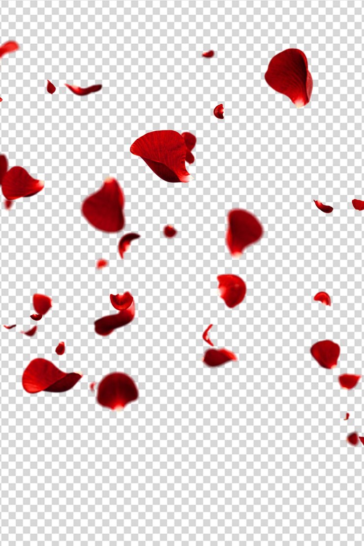 PSD rote rosenblätter fliegen auf romantischem overlay-hintergrund