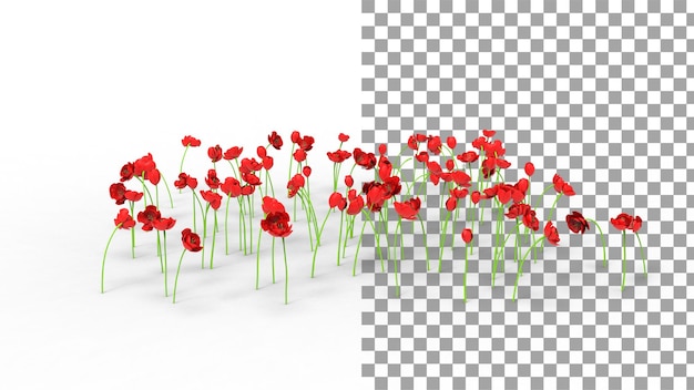 Rote Tulpenblume mit Schatten 3d render