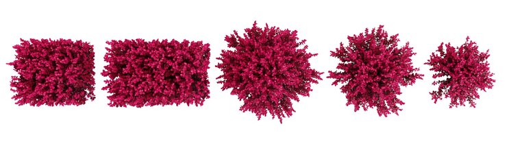 PSD royal burgundy barbeyy coleção de árvores com estilo realista de cima
