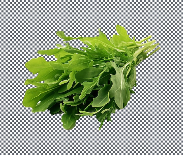 PSD rucola italienne fraîche isolée sur fond transparent