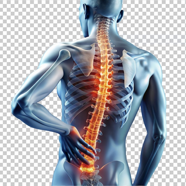 Rückenschmerzen vor durchsichtigem hintergrund