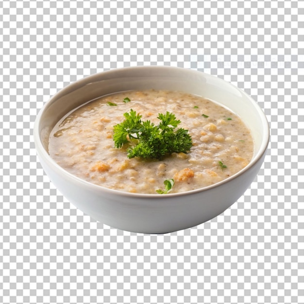 PSD saborosa sopa de iogurte dovga com verduras