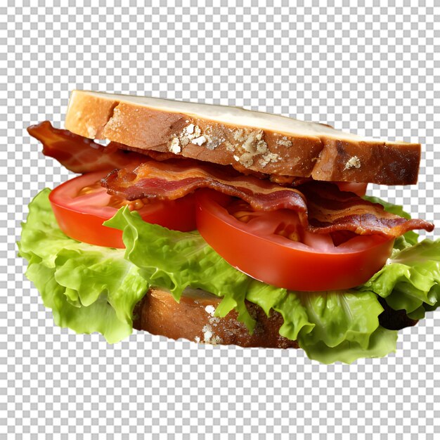 Sabroso sándwich png aislado sobre fondo transparente