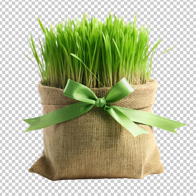PSD sac d'herbe attaché avec un ruban