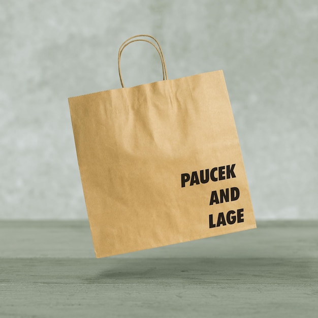 Le sac en papier brun de Paucek et Lage