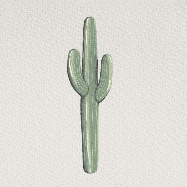 Saguaro cactus ilustração tall cactus verde ilustração planta do deserto