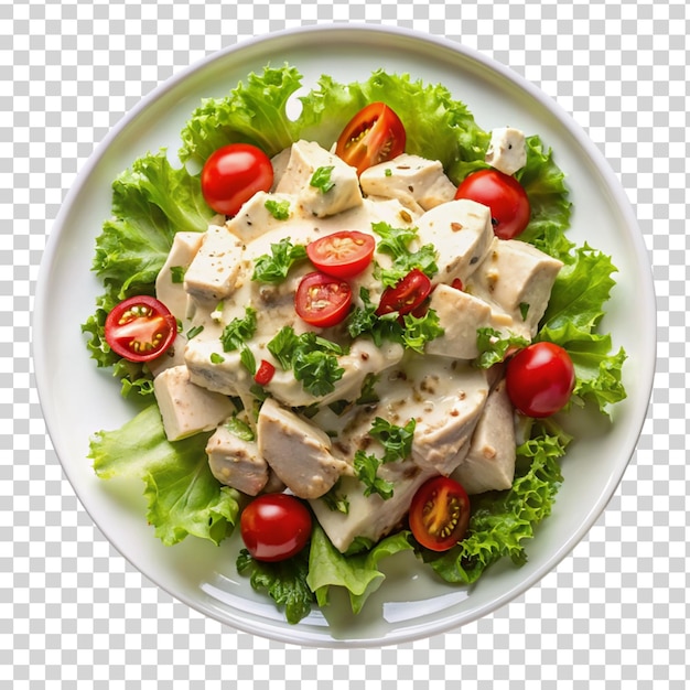 Salada de frango cremosa em prato branco isolado em fundo transparente