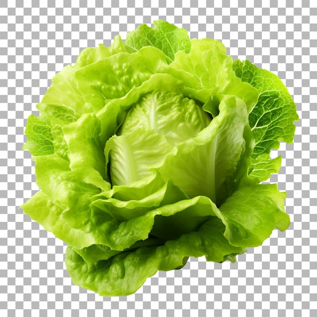 PSD salada em fundo transparente