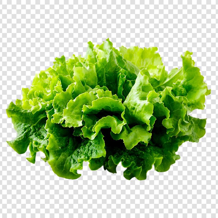Salada verde fresca Vegetales de hojas Alimentos saludables