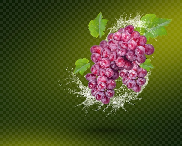 Salpicaduras de agua en uvas rojas frescas con hojas aisladas sobre un fondo verde
