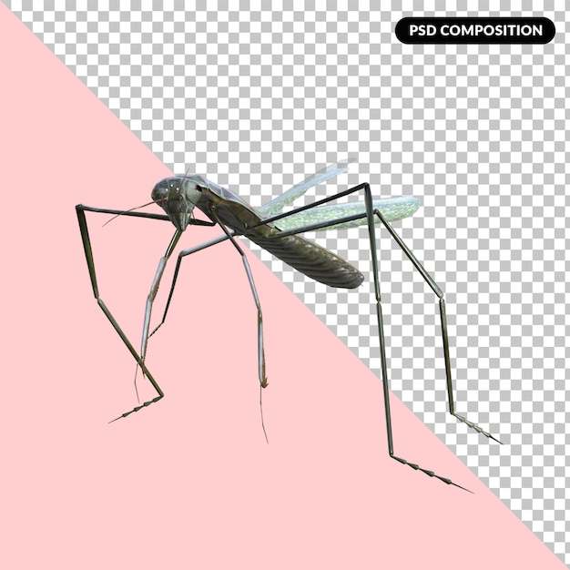 PSD saltamontes aislado renderizado 3d