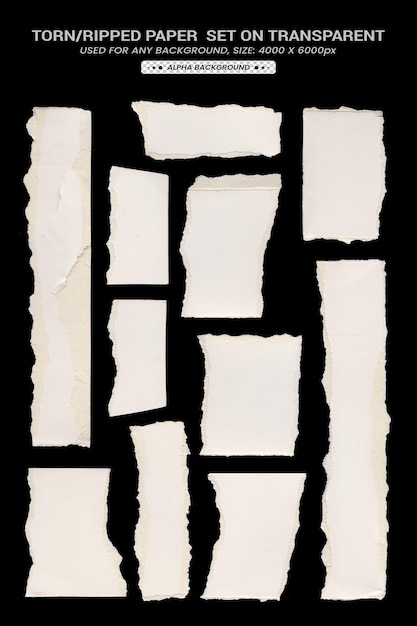 Sammelpapier zerrissene oder gerissene Papierstücke mit schwarzem Hintergrund