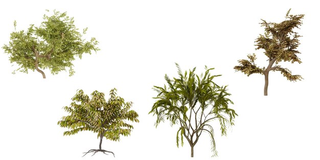 Sammlung von grünen und braunen Sträuchern
