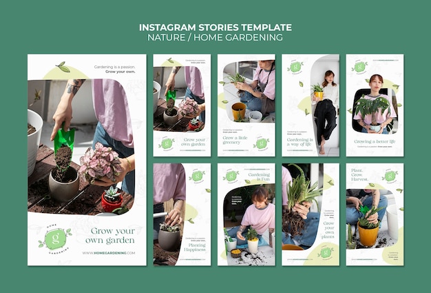 PSD sammlung von instagram-geschichten für den anbau und die pflege von topfpflanzen für den innenbereich