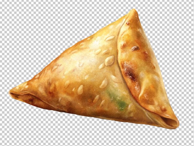 Samosa muy sabrosa