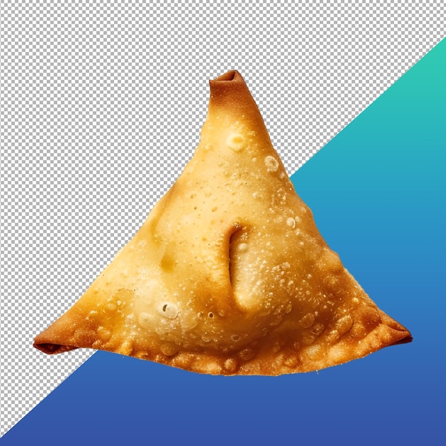 Samosa singulier png