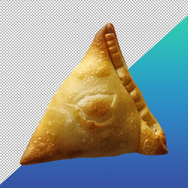 PSD samosa singulier png