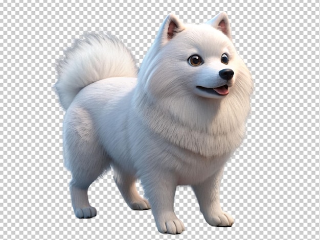 PSD le samoyed blanc est mignon.