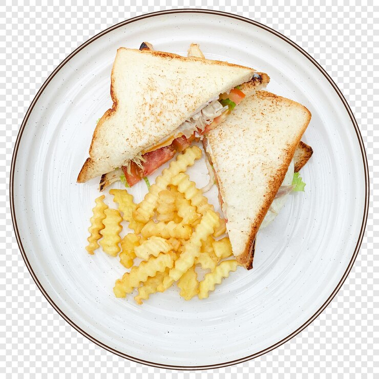 PSD sándwich de pollo y papas fritas
