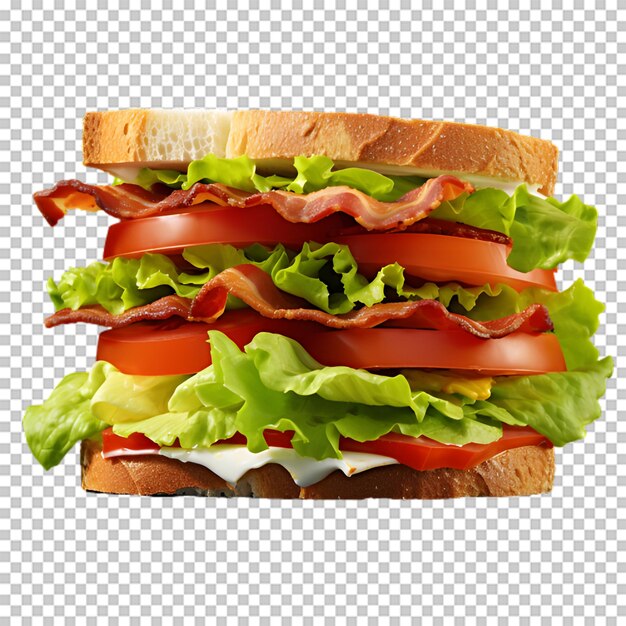 Sándwich de verduras frescas png aislado sobre fondo transparente