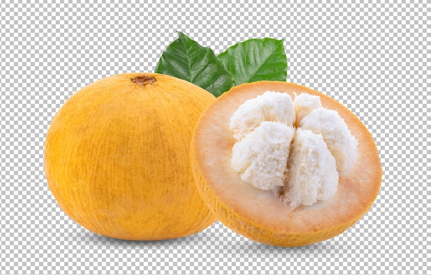 Santol aislado en capa alfa