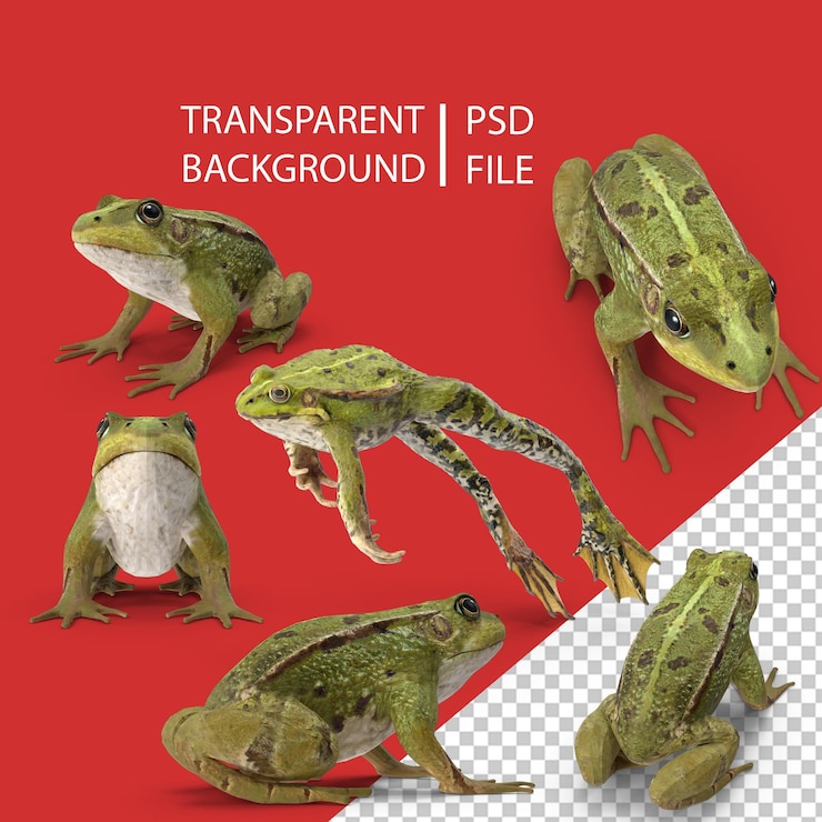 PSD sapo da png