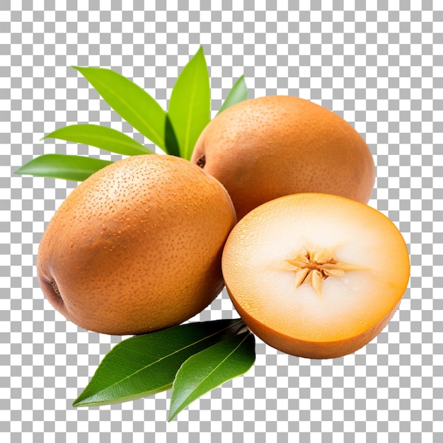 PSD sapodilla sur un fond transparent