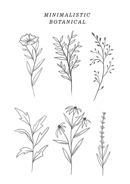 Satz nahtloser minimalistischer botanischer Strichzeichnungen isoliert auf weißem Hintergrund