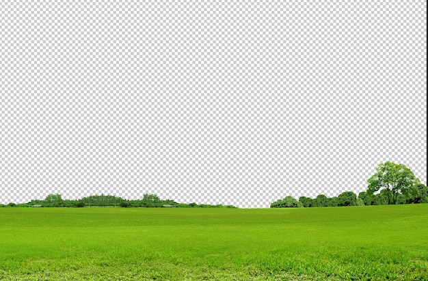 Sauberes Feld