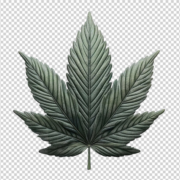 PSD scène de culture du cannabis png