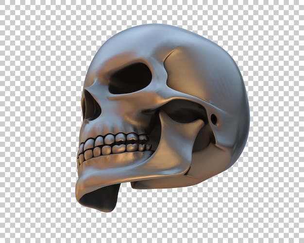 Schädel isoliert auf dem Hintergrund 3D-Rendering-Illustration