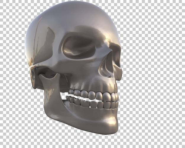 Schädel isoliert auf dem Hintergrund 3D-Rendering-Illustration