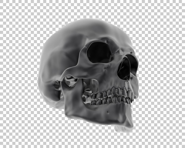 Schädel isoliert auf dem Hintergrund 3D-Rendering-Illustration