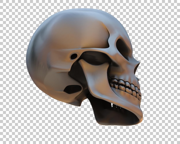 Schädel isoliert auf dem Hintergrund 3D-Rendering-Illustration