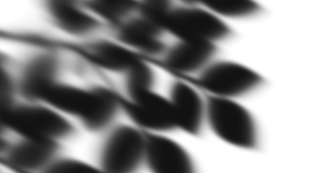 Schatten der Blätter