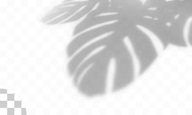 Schattenauflage aus Palmblättern