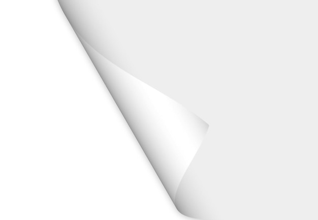 scheda vuota