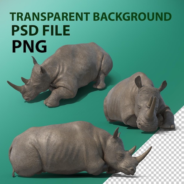 PSD schlafendes nashorn png