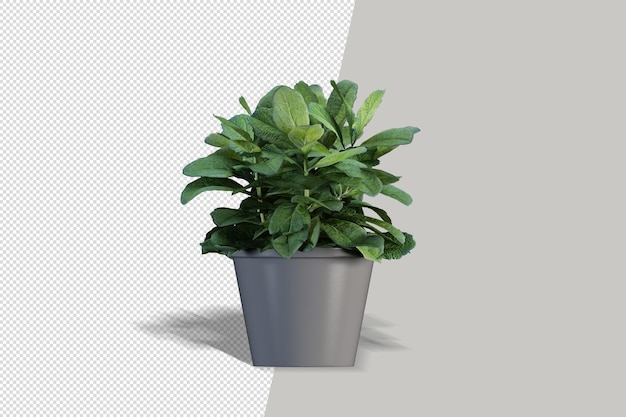 Schließen Sie oben auf Blumen im Topfinnenraum 3d Modell