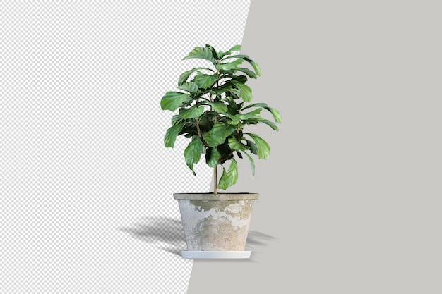 Schließen Sie oben auf Blumen im Topfinnenraum 3d Modell