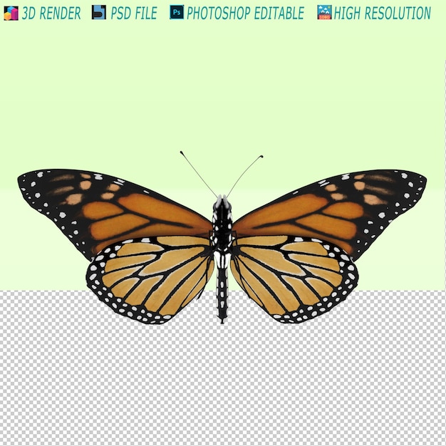 Schmetterling 3D-PSD-Datei